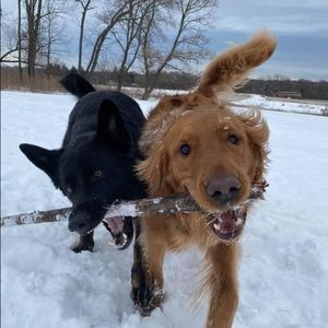 Meet your Posher, Kyle